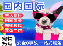 通化机场邮寄国际宠物托运 【国